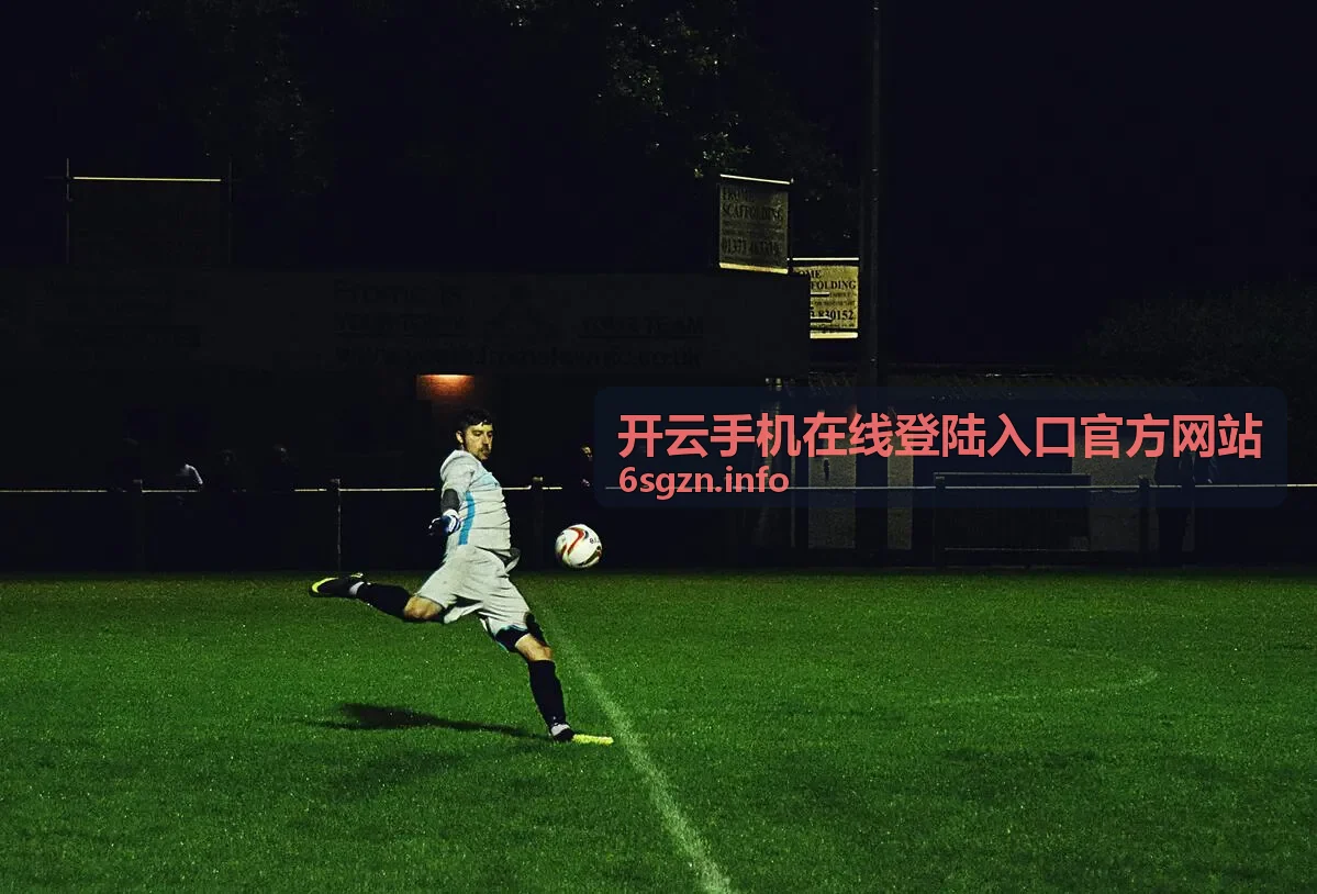 开云手机安全登录验证码校验界面